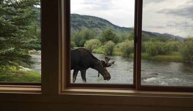Gorgeous Restored Historic Cabin
