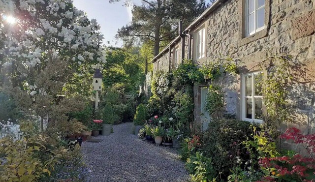 Gorgeous romantic cottage retreat, with gardens & Peak District views