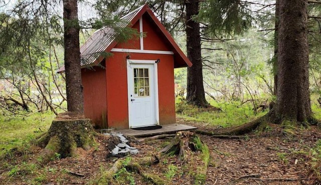 Gorgeous Secluded Cabin Nestled in the Middle of the Forest in Seward, Alaska