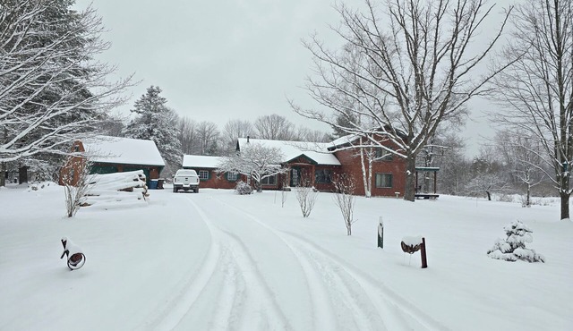 Gorgeous, Secluded Large Log 4 Bedroom Cabin with a pond view on several acres!