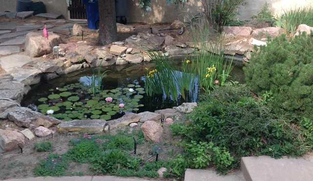 Gorgeous setting on hillside of 737 acre Palmer Park