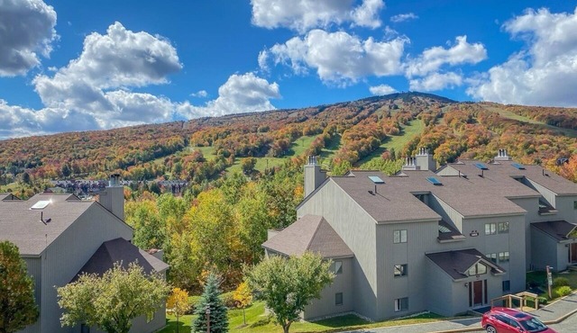 Gorgeous ski retreat apartment with fireplace and Mountain View.