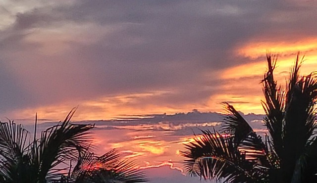 Gorgeous Sunsets from Your Balcony in Moon Bay/Walk to nearby restaurants