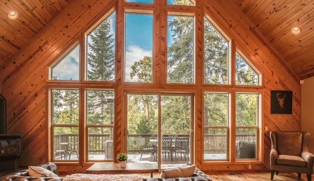 Gorgeous treetop views