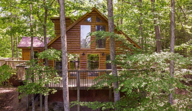 Gorgeous View Cabin- Pet Friendly, Hot Tub, Firepit, WiFi