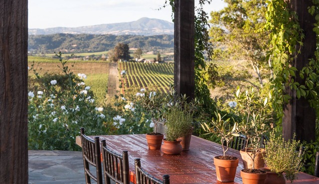 Gorgeous Views, Pool and Hot Tub, 12 mins to HB Plaza