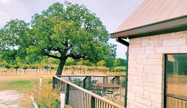 Gorgeous Vineyard Home in the middle of the Vines!