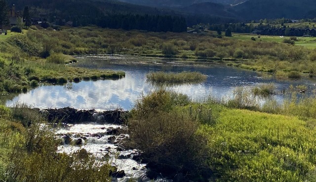 Gorgeous Wetlands and Breathtaking Views!