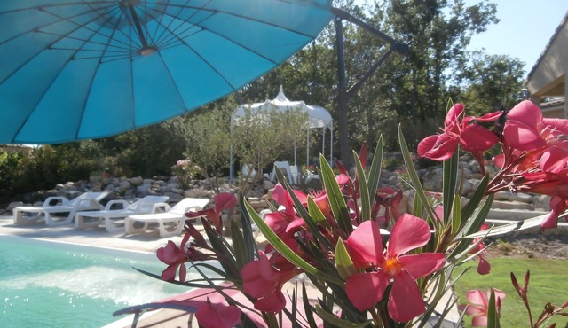 GORGES DE L'ARDECHE VILLA WITH PRIVATE SWIMMING POOL 6 pers 4 stars