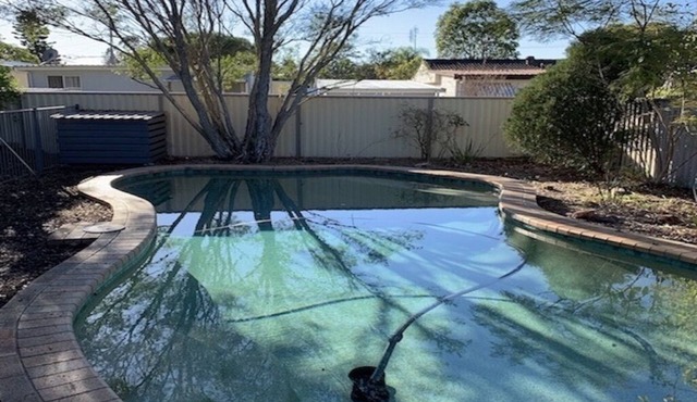 Gorokan Glam on the Central Coast