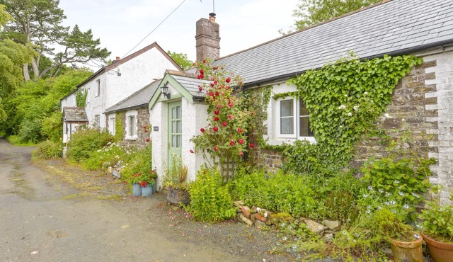 GOSLINGS, pet friendly, country holiday cottage in Holsworthy