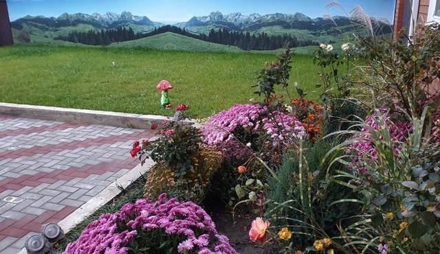 Gostievoi domik s saunoi