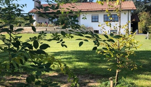 Grünsberg Comfortable holiday residence in Altdorf-Grünsberg