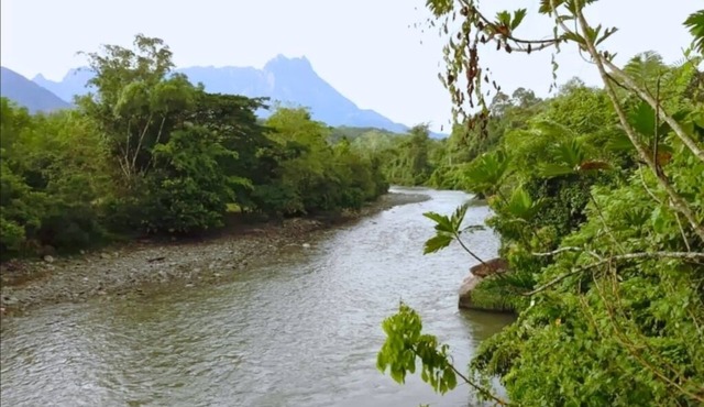 Grace Guesthouse , 2BR Cabin with River & Mountain Views