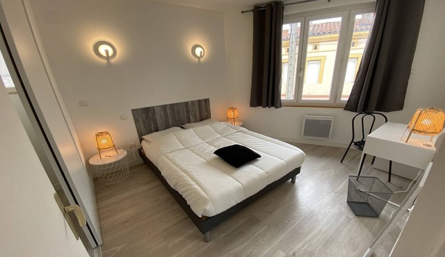 Graceful apartment in Toulouse