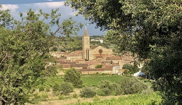 Gracious large house in historic Languedoc village