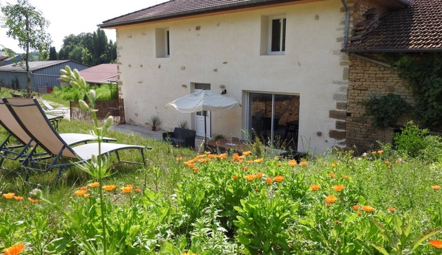 Graine - Dommartin-le-Franc