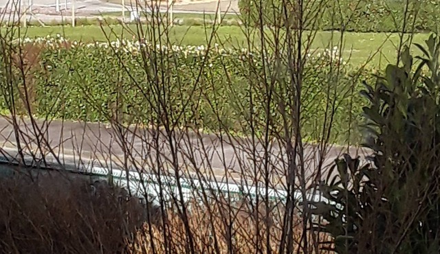 Grand Pavillon Avec Jardin vue sur mer