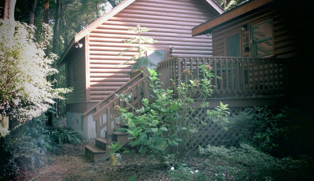 Gran's House-peaceful and historic country setting