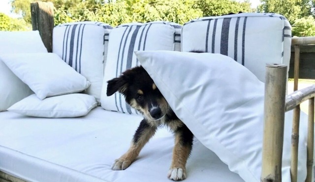 Granary Apartment in the Heart of Kinsale