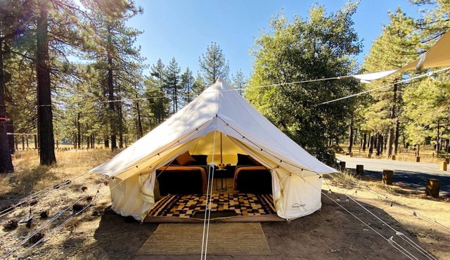 Grand Adventures in Nature: Big Group-Friendly and Original Glamping in California