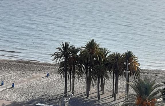 Grand appart 4,6,8 personnes vue directe sur mer