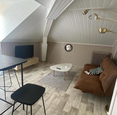 Grand appartement T2 Samois - Rickhoss Home