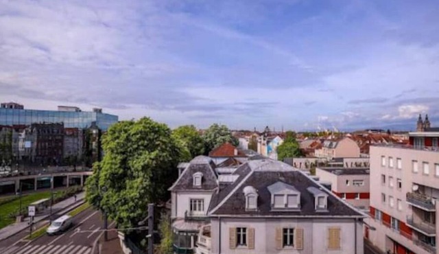 Grand Appartement à Mulhouse