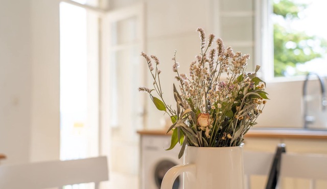 Grand Appartement Avec vue sur la Vallée D'orezza