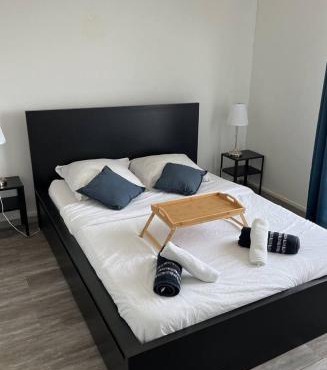 Grand appartement BREST pour max 11 personnes