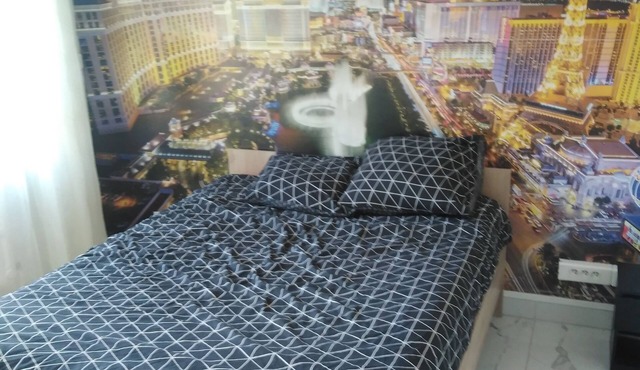 Grand Appartement Centre Ville de Reims Pour 6 Personnes