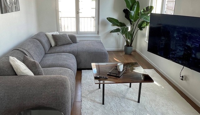 Grand appartement hyper centre