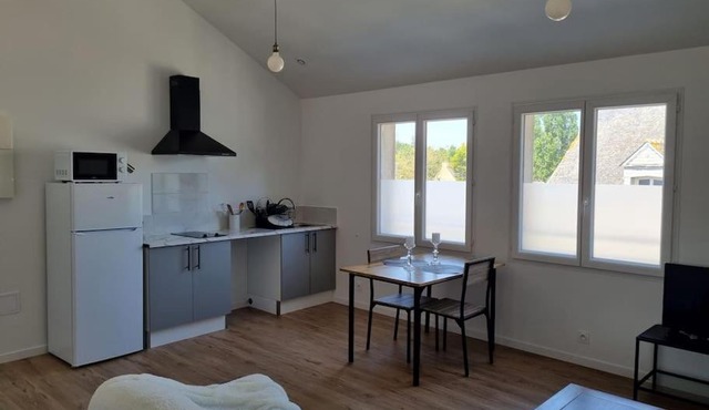 Grand appartement, lumineux