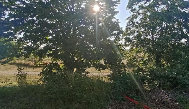 Grand appartement lumineux.