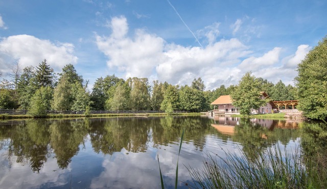 Grand Chalet-gîte 22 Couchages, Pleine Nature Avec Jacuzzi et Étang Privatif
