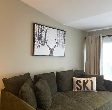 GRAND COSY 10-12 pers Ax Thermes Centre Terrasse Parking