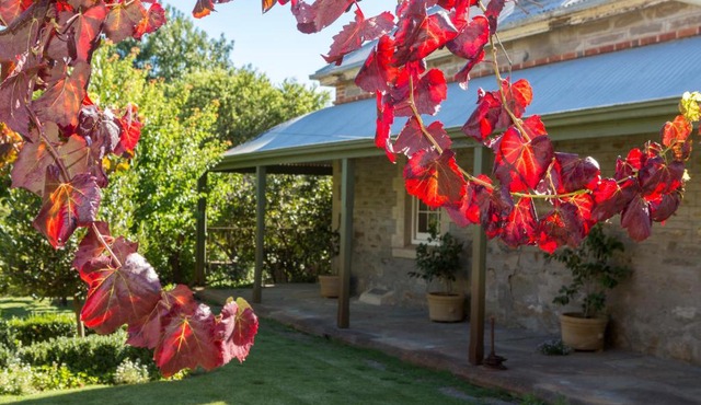 Grand Cru Estate Homestead