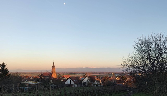 Grand Duplex Tout Confort sur la Route des Vins au Pied des Vosges 🍇