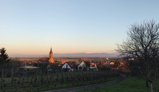 Grand Duplex Tout Confort sur la Route des Vins au Pied des Vosges 🍇