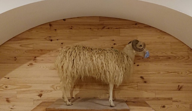 Grand et Confortable Hébergement aux Portes du Parc National des Pyrénées