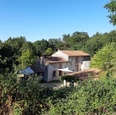 Grand gîte dans son écrin de Nature