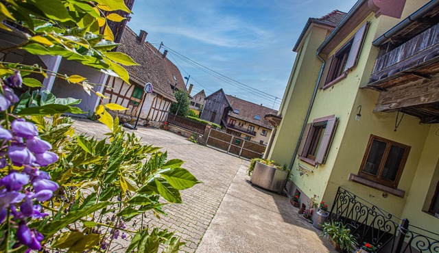 Grand Gîte Jusqu'à 14 Personnes Prox Europapark