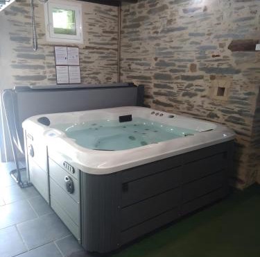 Grand Gîte Le Jeanneau Spa 15p