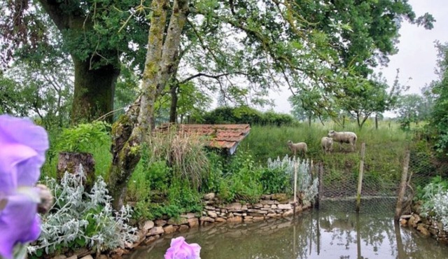 Grand Gite Bressan, 1h Nord de Lyon, au Coeur de L'axe Mâcon- Bourg en Bresse
