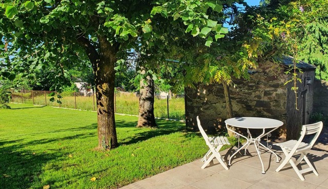 Grand Hortensia - SAINT-PIERRE-DE-TRIVISY