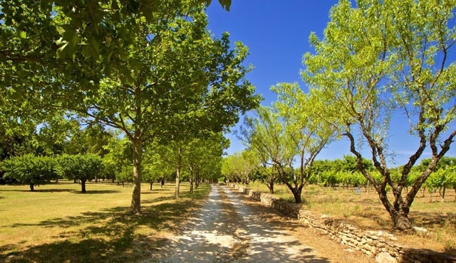 GRAND LUBERON A LARGE LUXURY VILLA IN THE BEAUTIFUL HILLTOP VILLAGE OF GORDES