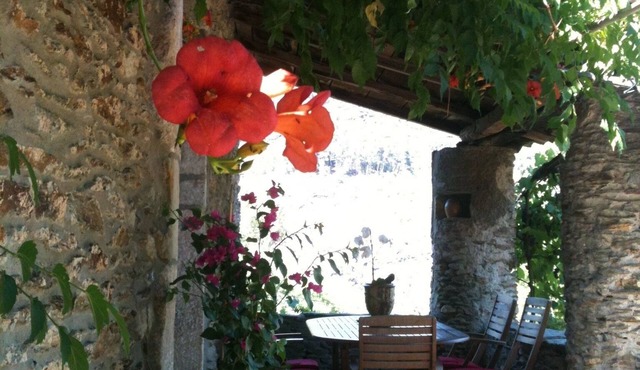 Grand Mas Cévenol Avec Piscine