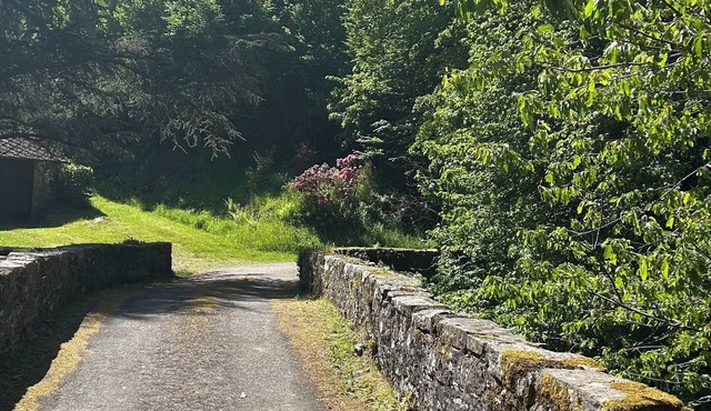 Grand MOULIN Restored In Beautiful Green Space, Near Uzerche