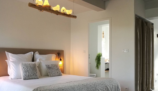 Grand "nid de L'erdre" Avec Spa et Accès Rivière