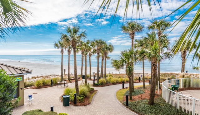 GRAND PANAMA, BEACHFRONT, Sm Pet-friendly, 2 HEATED POOLS, JUST REDUCED RATES!